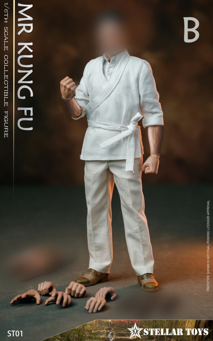 Mr Kung Fu 1/6