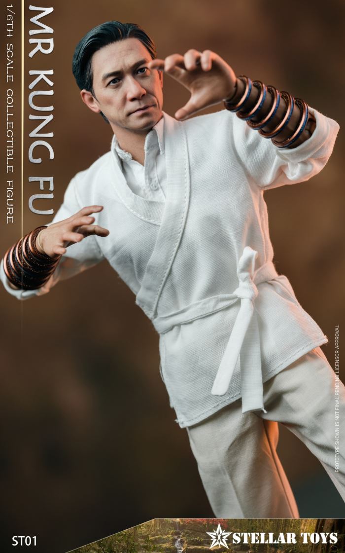 Mr Kung Fu 1/6