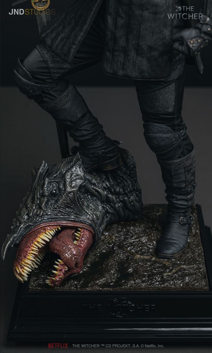 Geralt of Rivia - The Witcher [Henry Cavilll]