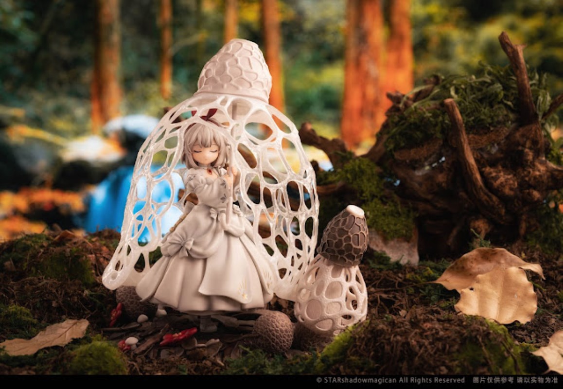 Mushroom Girl Series No.2 Phallus indusiatus 1/1