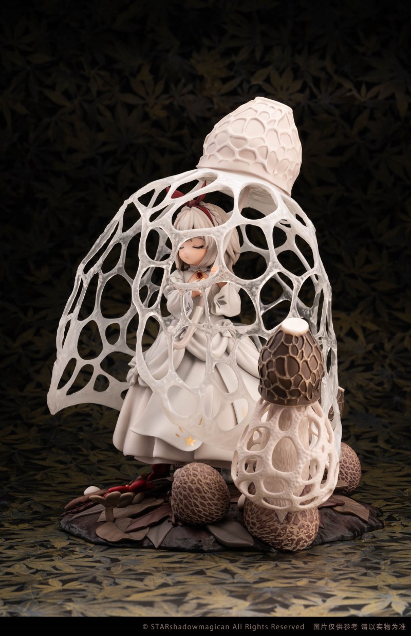 Mushroom Girl Series No.2 Phallus indusiatus 1/1