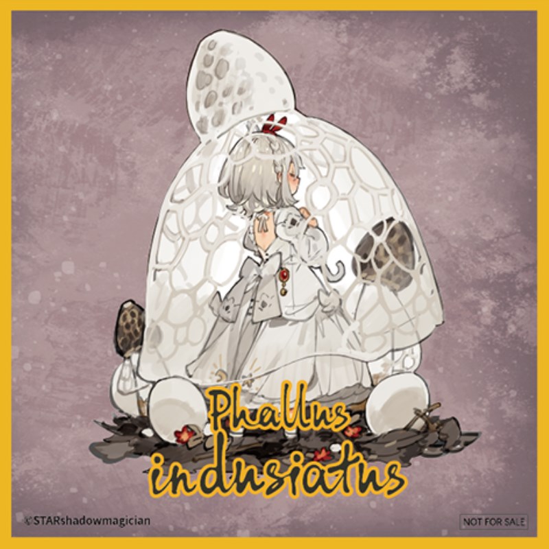 Mushroom Girl Series No.2 Phallus indusiatus 1/1
