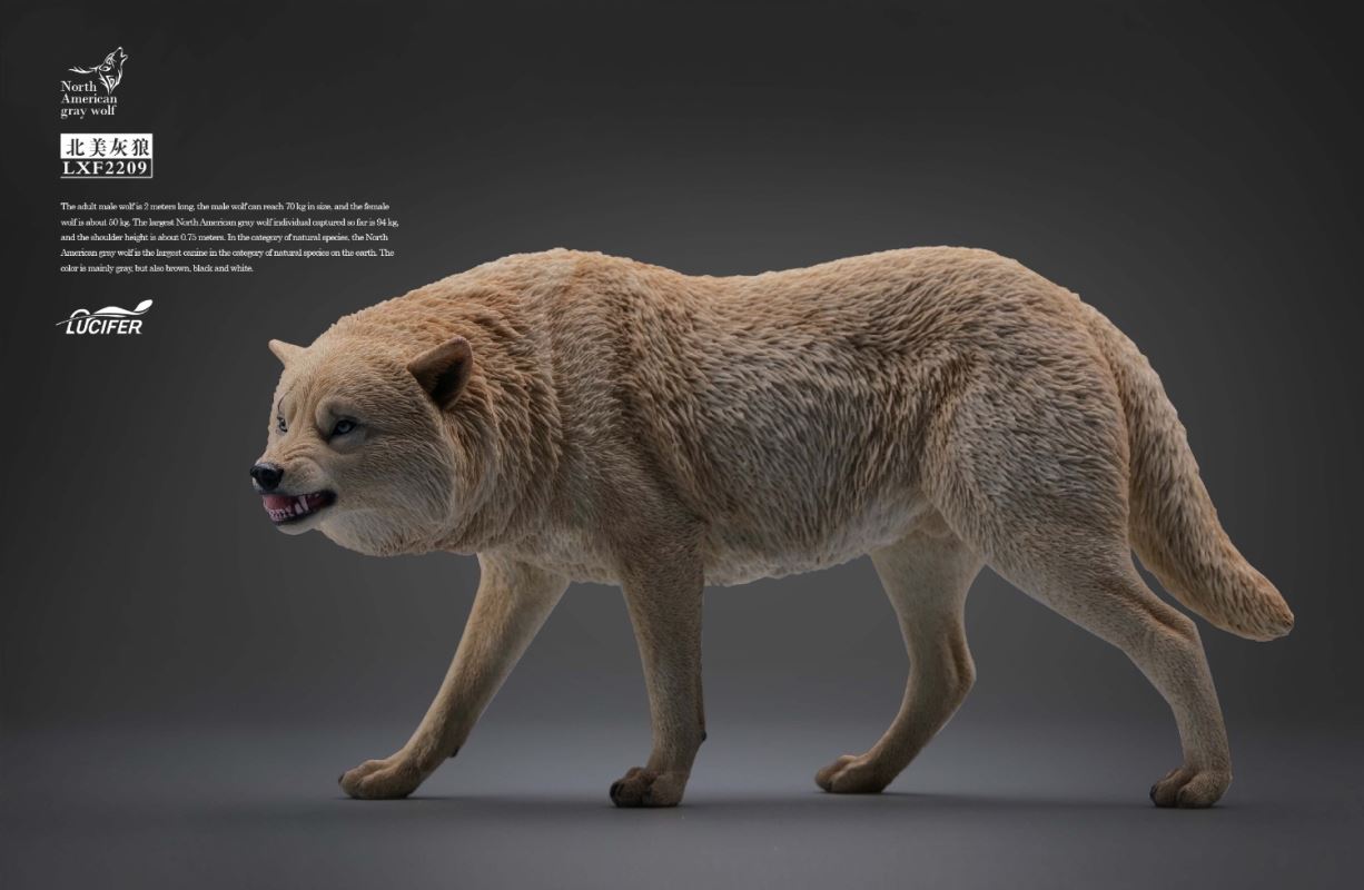 Gray Wolf 1/6