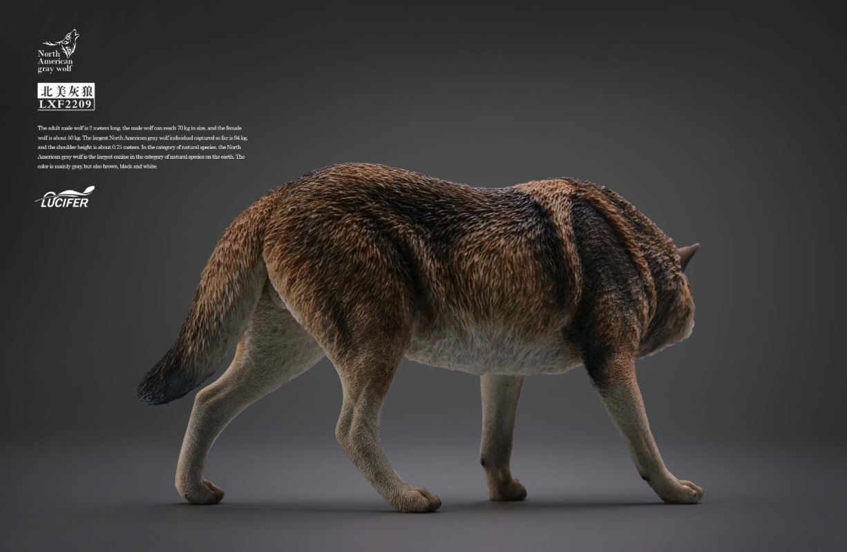 Gray Wolf 1/6