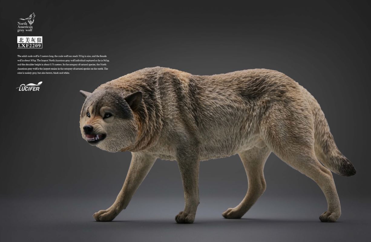 Gray Wolf 1/6