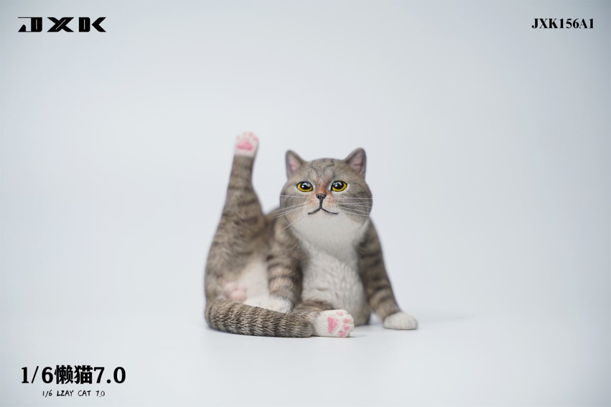 Lazy Cat 7.0 1/6