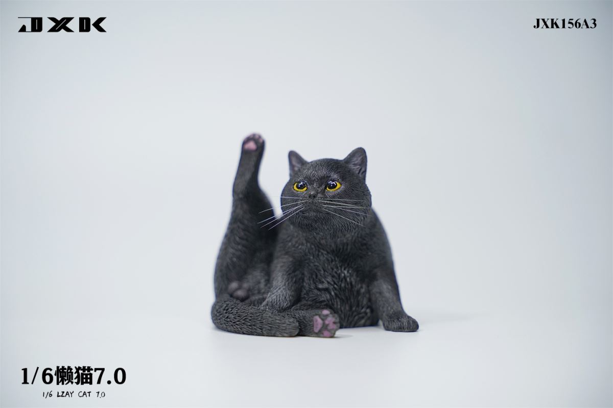 Lazy Cat 7.0 1/6