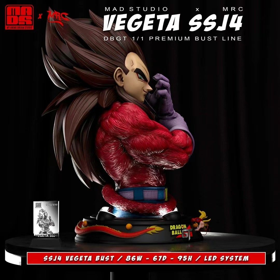 Vegeta SSJ4 - Dragon Ball