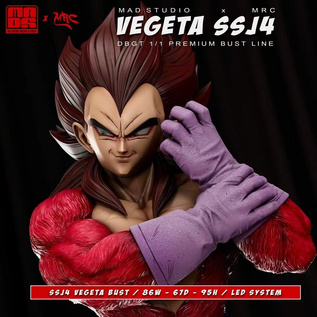 Vegeta SSJ4 - Dragon Ball