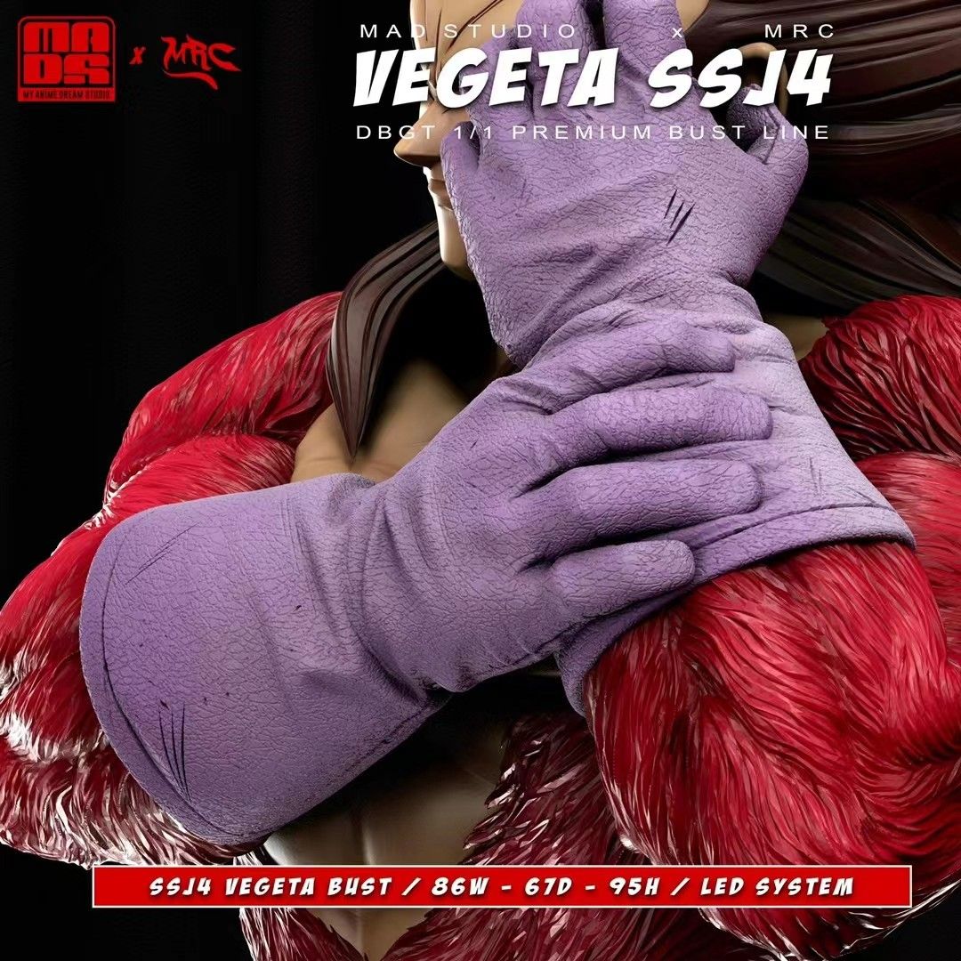 Vegeta SSJ4 - Dragon Ball