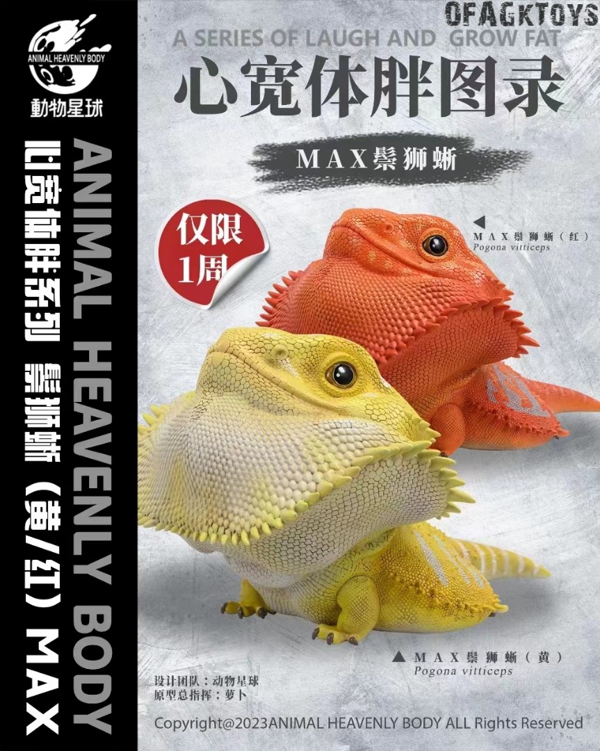 Pogona vitticeps