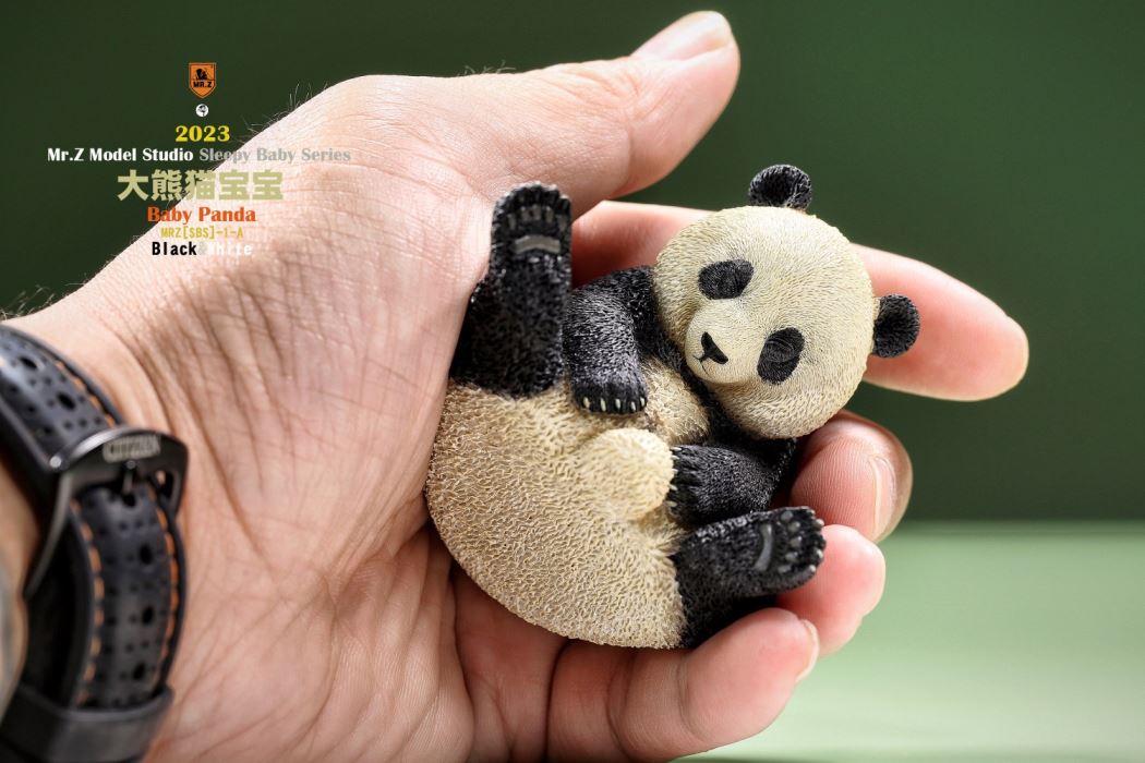 Baby Panda