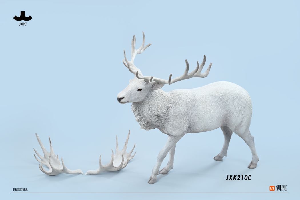 Reindeer 1/6