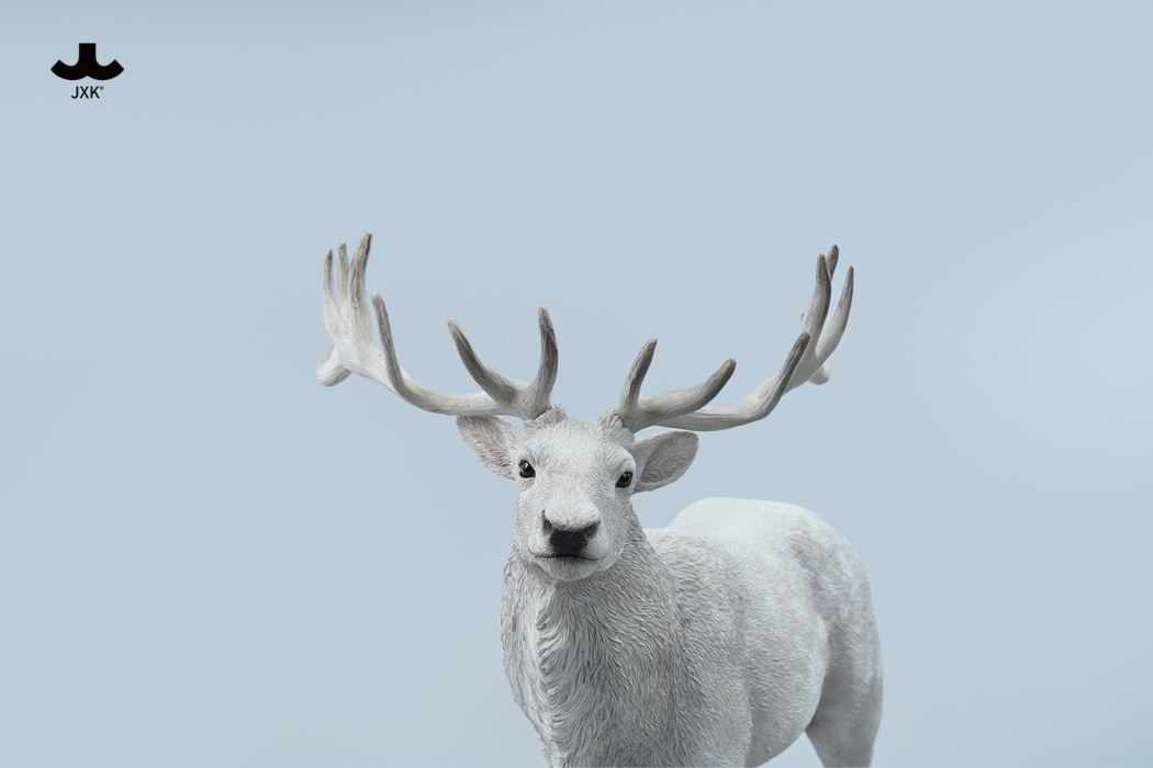 Reindeer 1/6