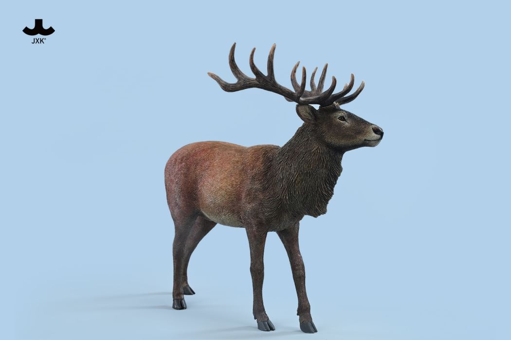 Reindeer 1/6