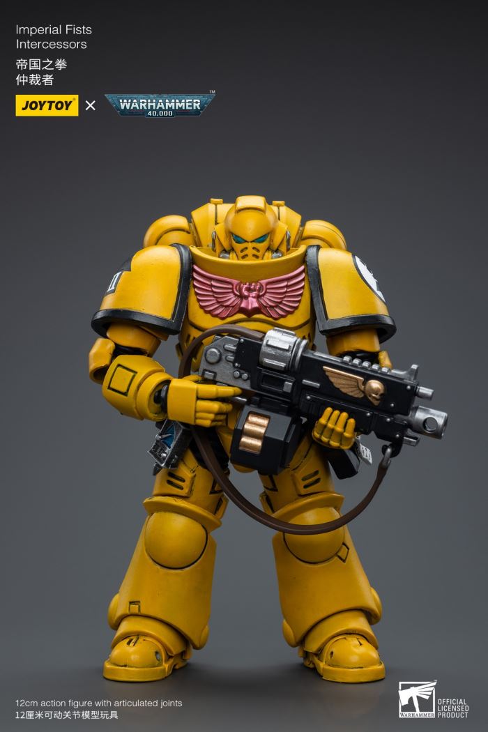 Space Wolves / Sergeant Richards / Imperial Fists / Blood Angels / Primaris Advanced Brother Raymond 1/18