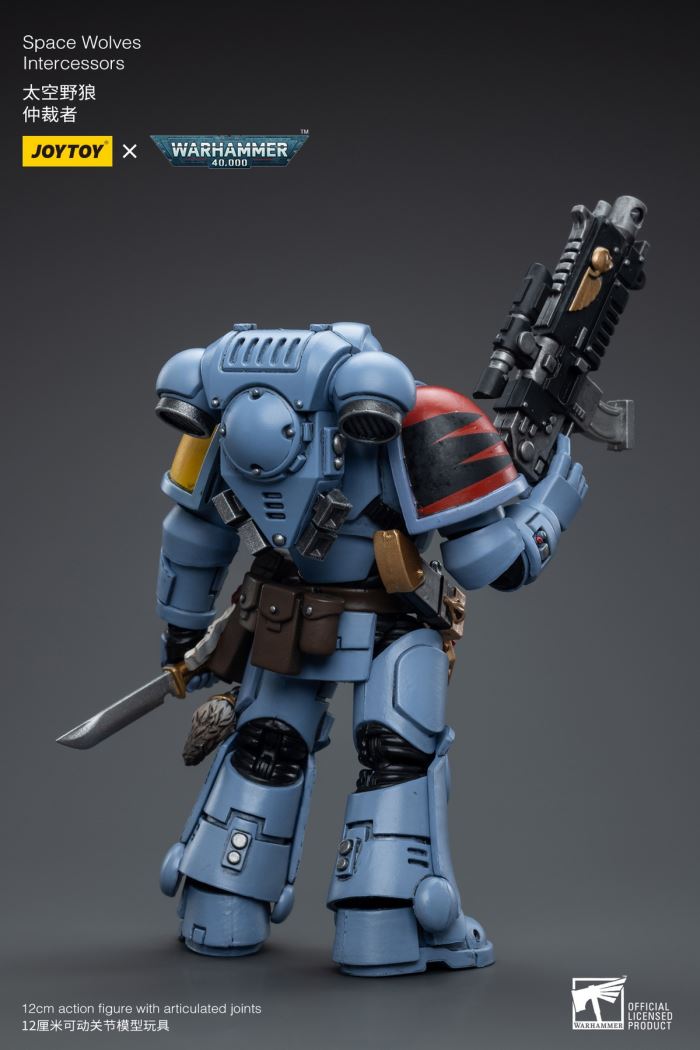 Space Wolves / Sergeant Richards / Imperial Fists / Blood Angels / Primaris Advanced Brother Raymond 1/18