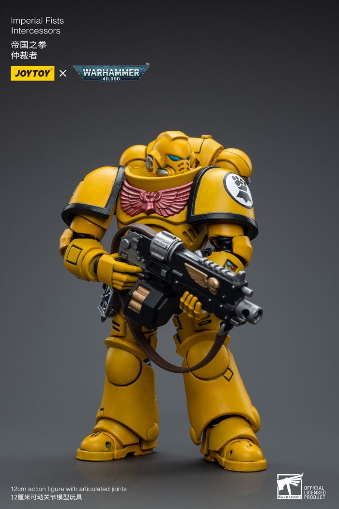 Space Wolves / Sergeant Richards / Imperial Fists / Blood Angels / Primaris Advanced Brother Raymond 1/18