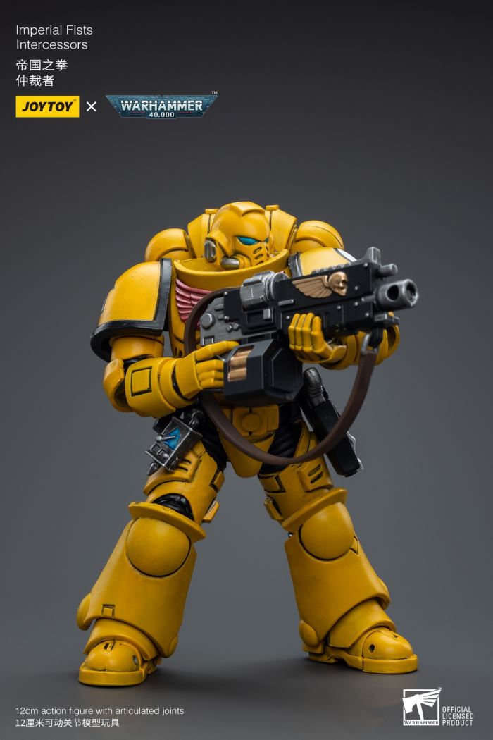 Space Wolves / Sergeant Richards / Imperial Fists / Blood Angels / Primaris Advanced Brother Raymond 1/18