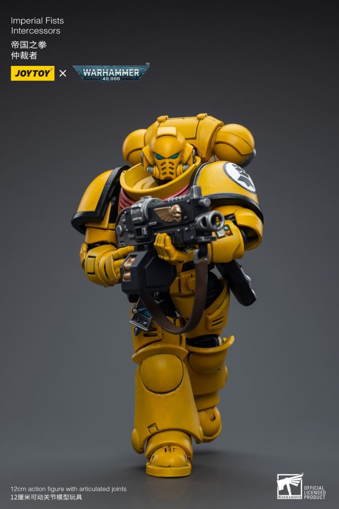 Space Wolves / Sergeant Richards / Imperial Fists / Blood Angels / Primaris Advanced Brother Raymond 1/18