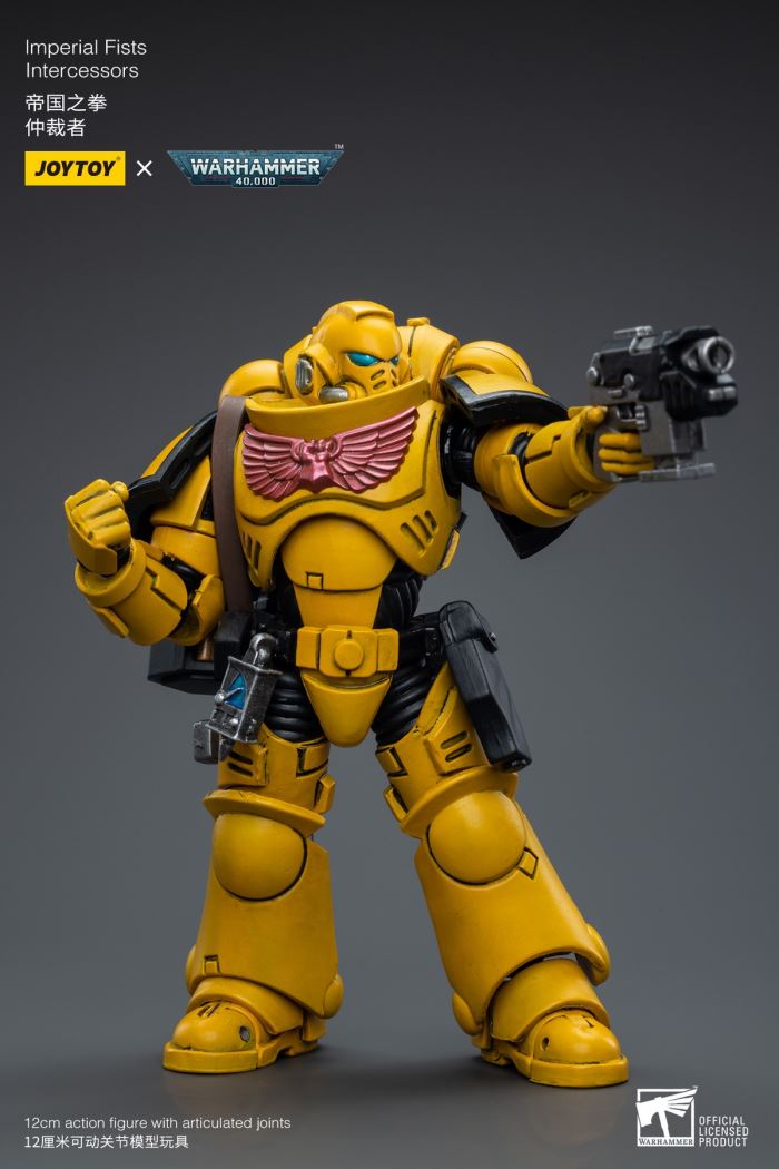 Space Wolves / Sergeant Richards / Imperial Fists / Blood Angels / Primaris Advanced Brother Raymond 1/18