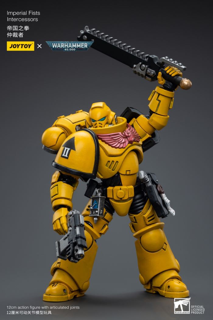 Space Wolves / Sergeant Richards / Imperial Fists / Blood Angels / Primaris Advanced Brother Raymond 1/18