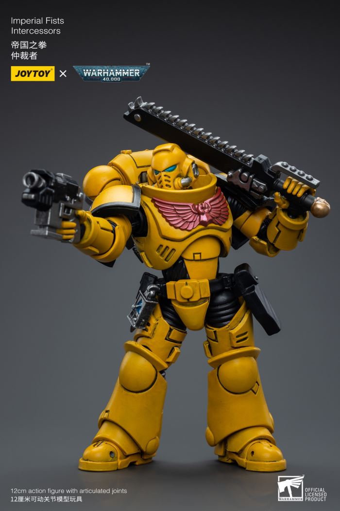 Space Wolves / Sergeant Richards / Imperial Fists / Blood Angels / Primaris Advanced Brother Raymond 1/18