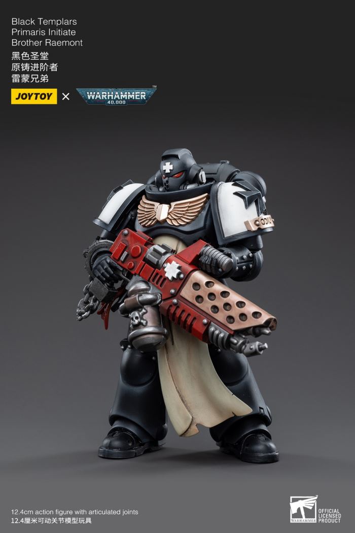 Space Wolves / Sergeant Richards / Imperial Fists / Blood Angels / Primaris Advanced Brother Raymond 1/18