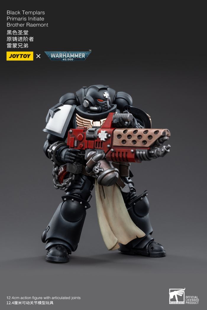 Space Wolves / Sergeant Richards / Imperial Fists / Blood Angels / Primaris Advanced Brother Raymond 1/18