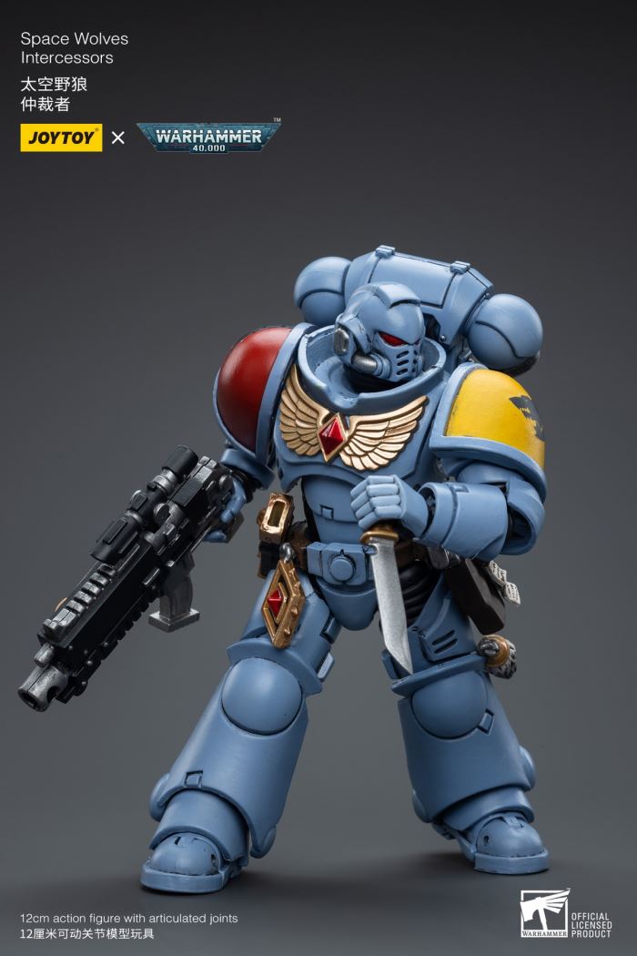 Space Wolves / Sergeant Richards / Imperial Fists / Blood Angels / Primaris Advanced Brother Raymond 1/18