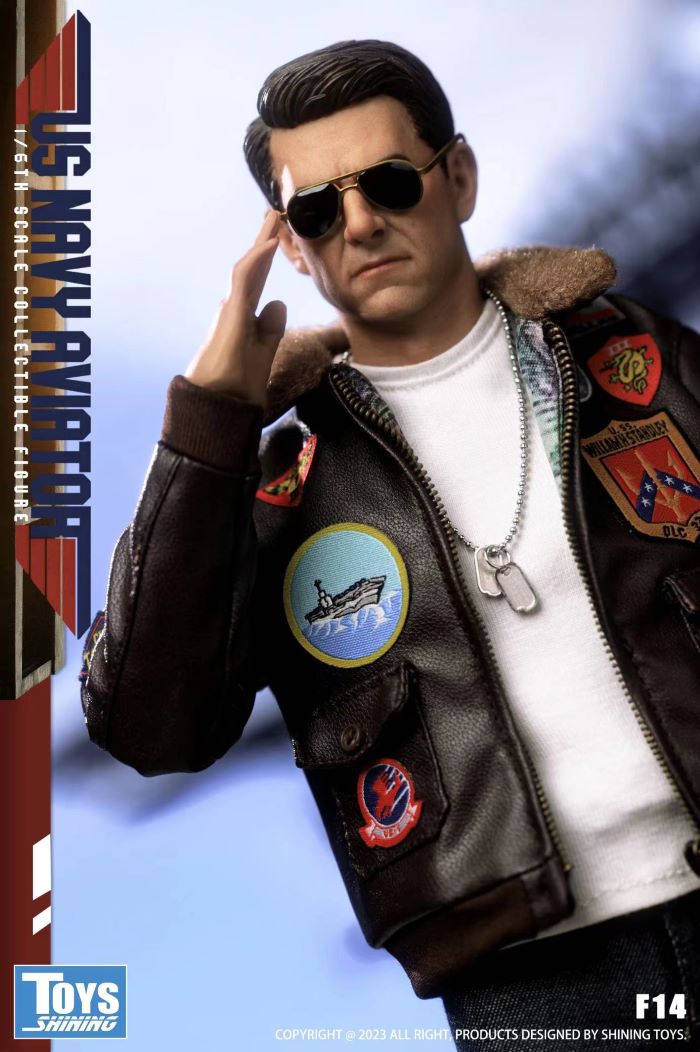 The Shining Toys Top Gun US Navy Pilot-F14 1/6