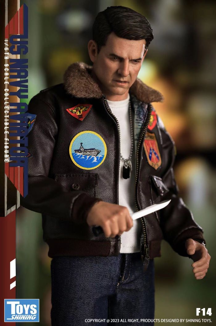 The Shining Toys Top Gun US Navy Pilot-F14 1/6