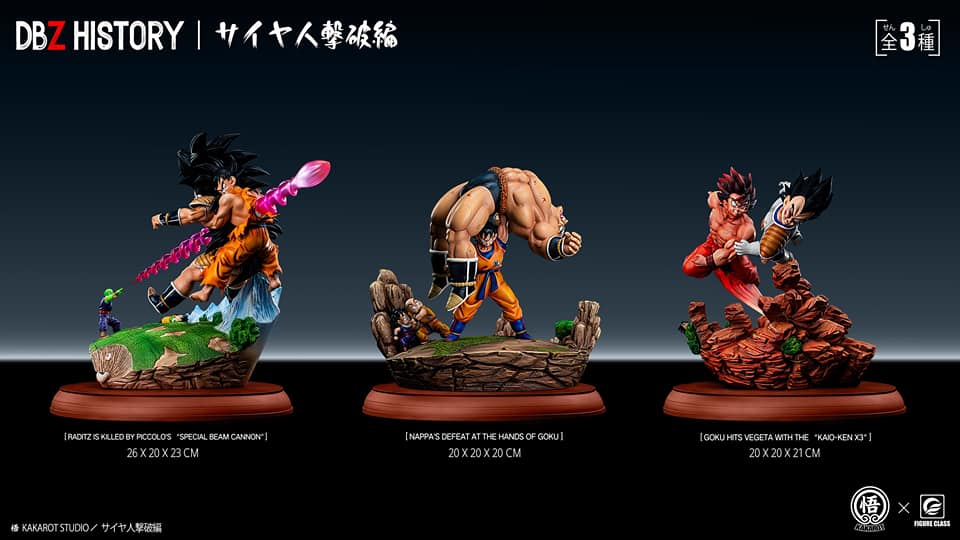 Dragon Ball Z History series