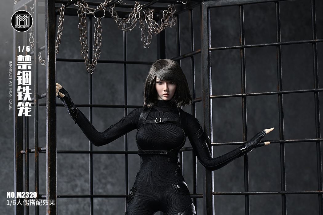 Imprison an iron cage 1/6