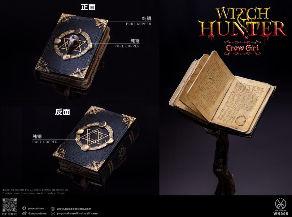 Witch Hunter Series-Crow Girl 1/6