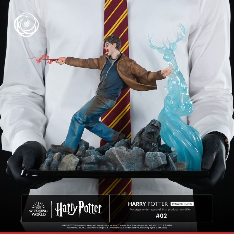 Harry Potter and Voldemort