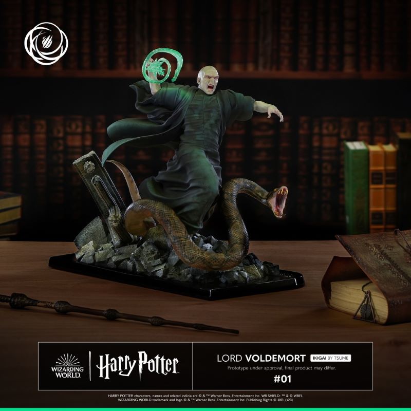 Harry Potter and Voldemort