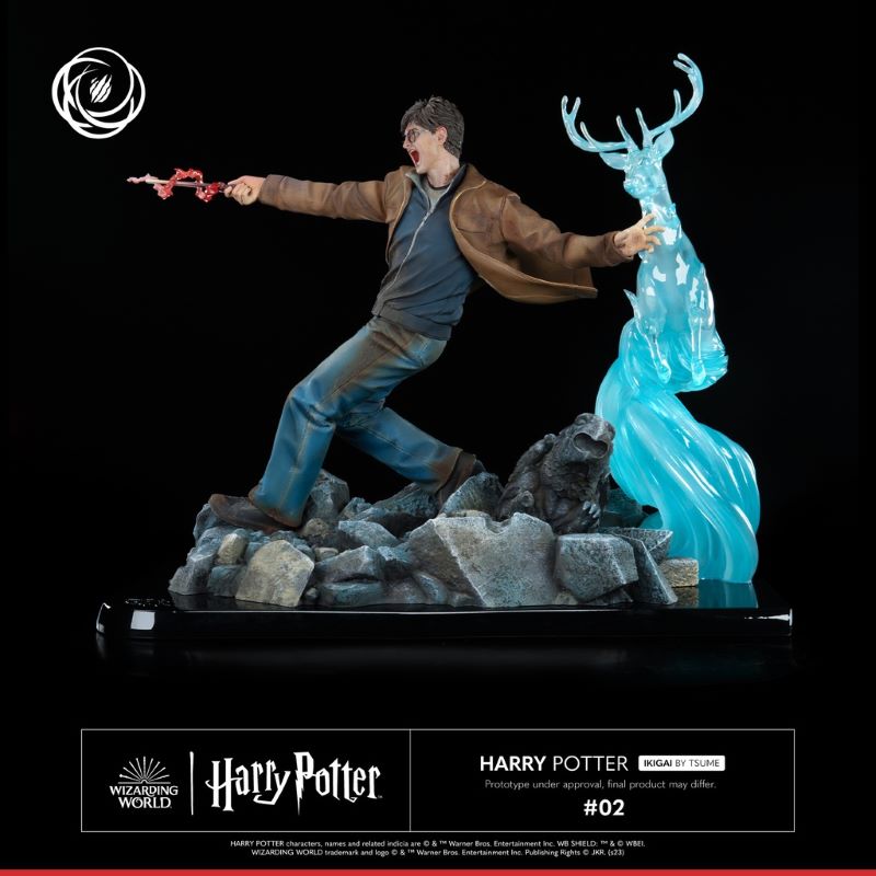 Harry Potter and Voldemort