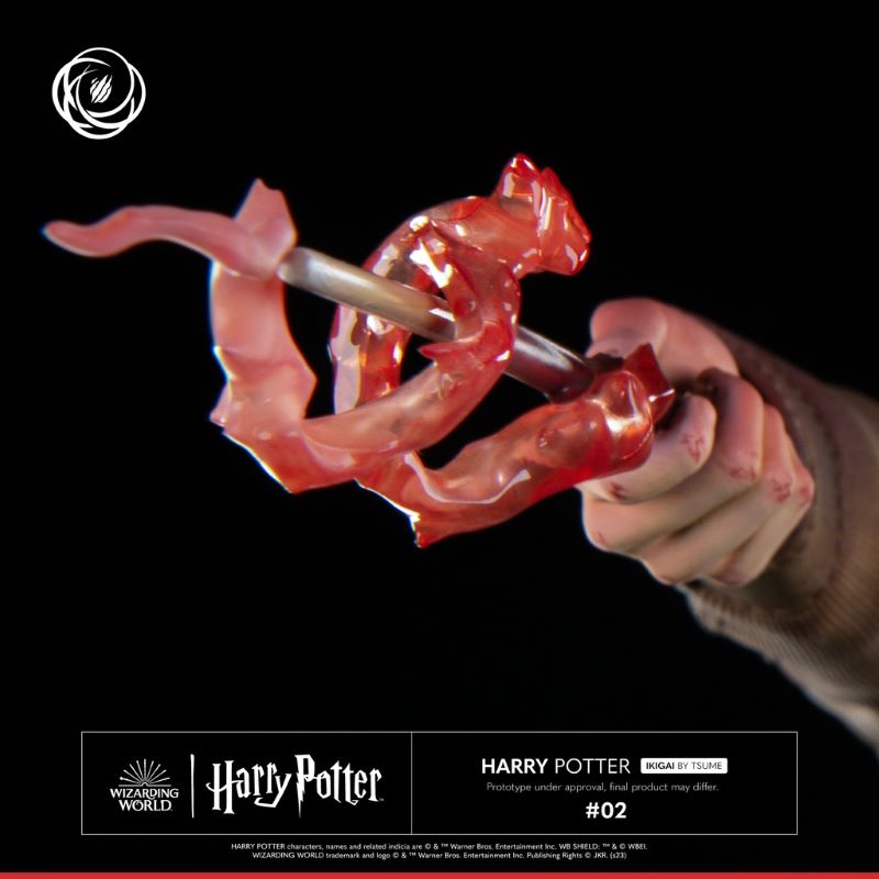 Harry Potter and Voldemort