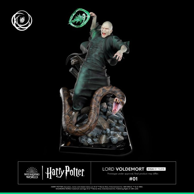 Harry Potter and Voldemort