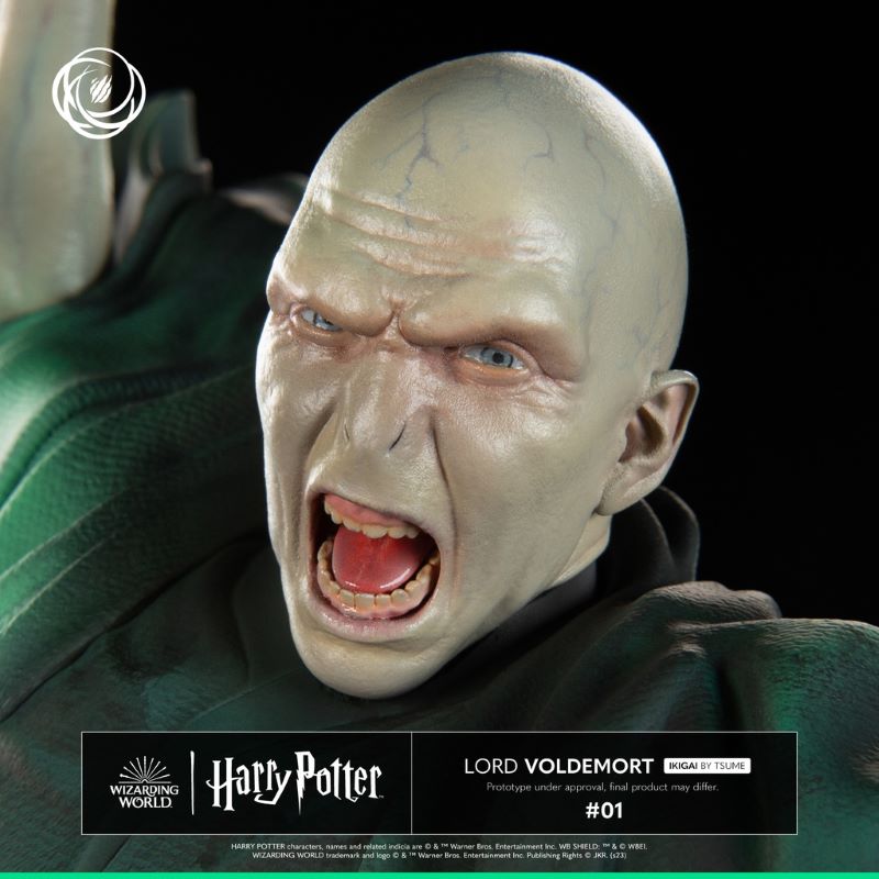Harry Potter and Voldemort
