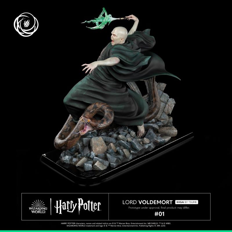Harry Potter and Voldemort