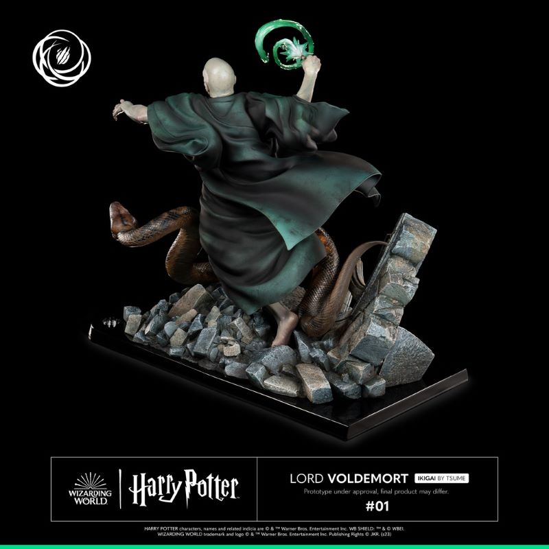 Harry Potter and Voldemort
