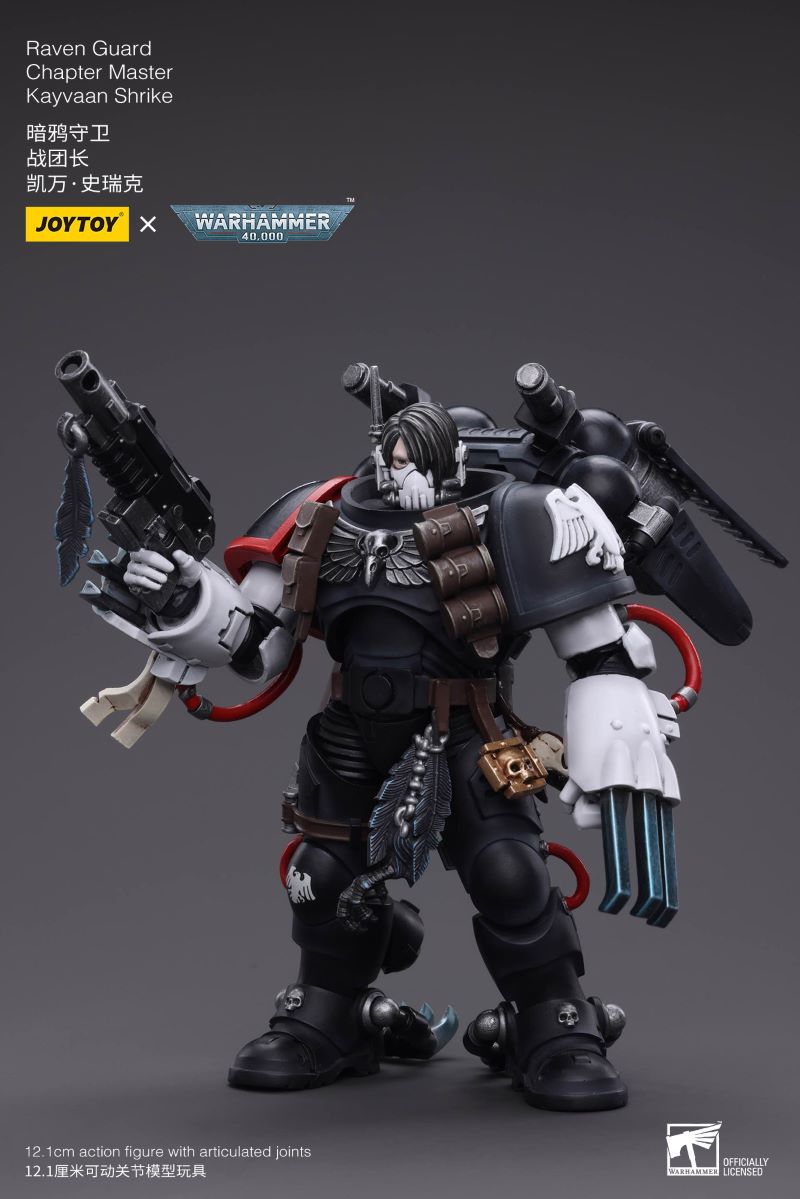 Raven Guard Chapter Master Kayvaan Shrike