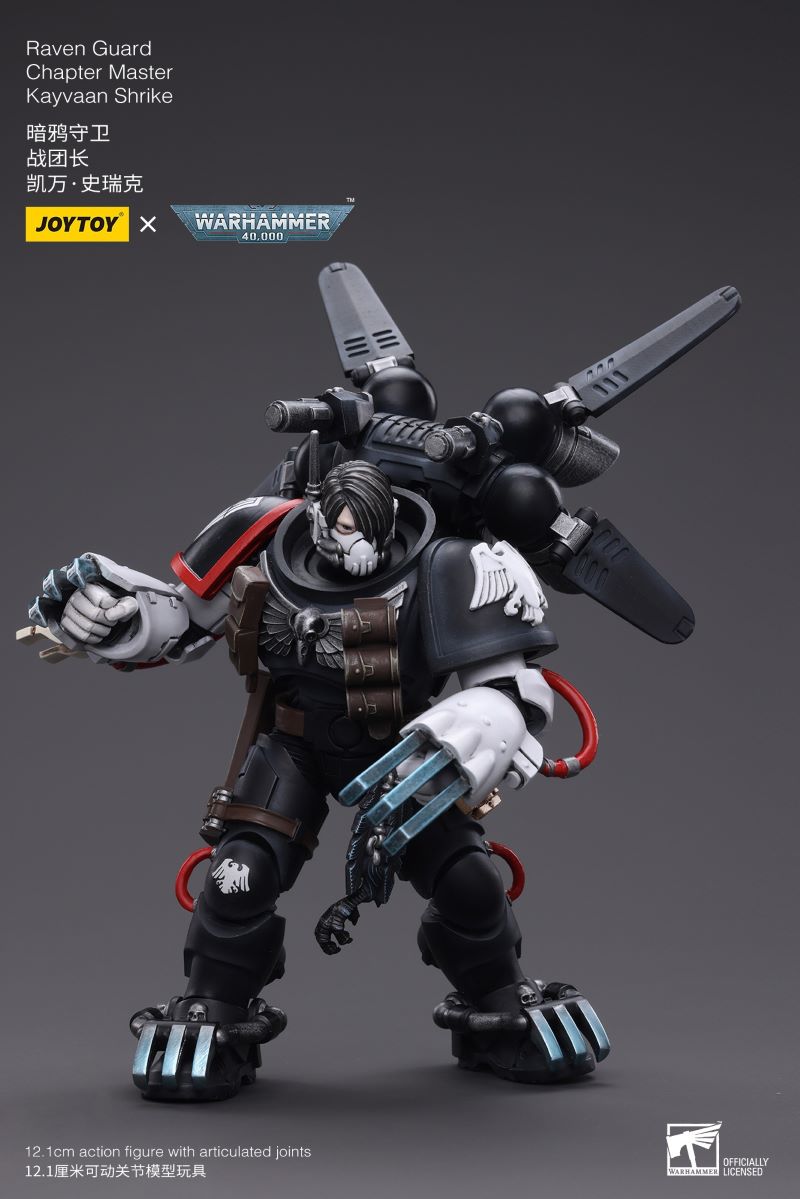 Raven Guard Chapter Master Kayvaan Shrike