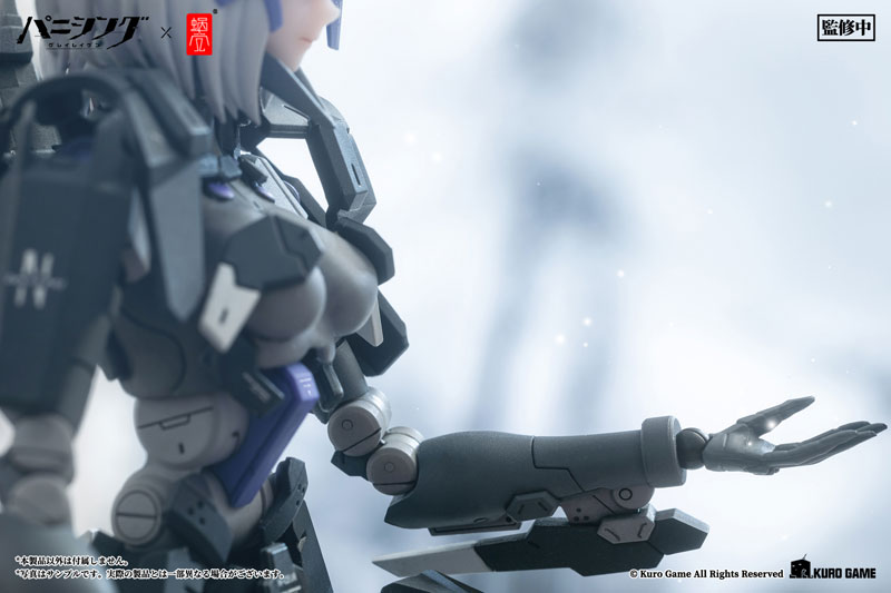 Punishing: Gray Raven Rosetta Rigor 1/12