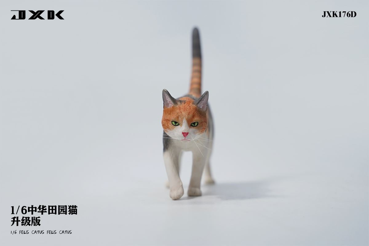 Chinese pastoral cat upgraded version 1/6