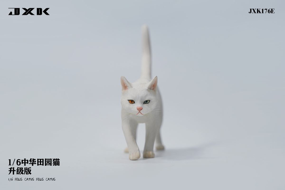Chinese pastoral cat upgraded version 1/6