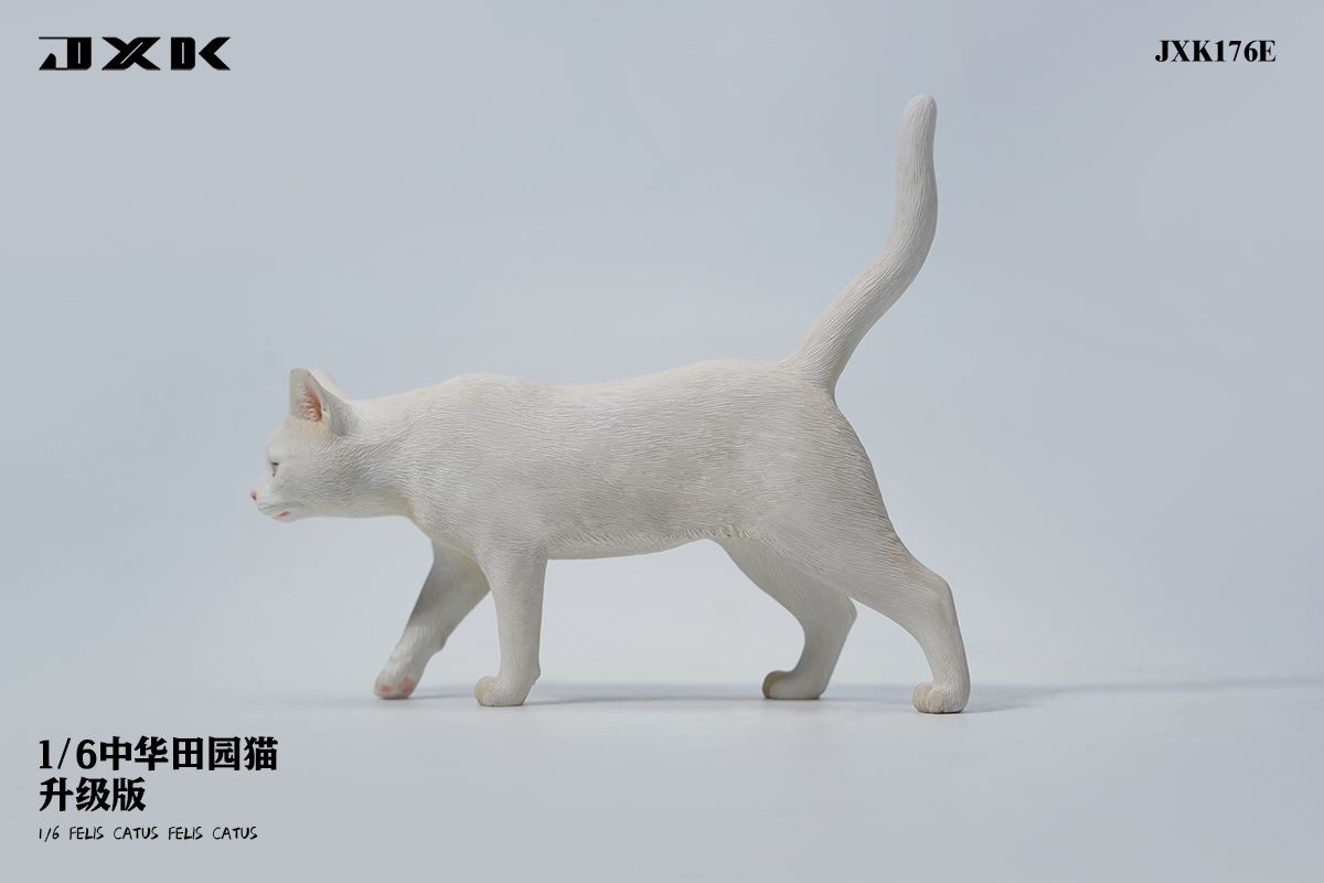 Chinese pastoral cat upgraded version 1/6