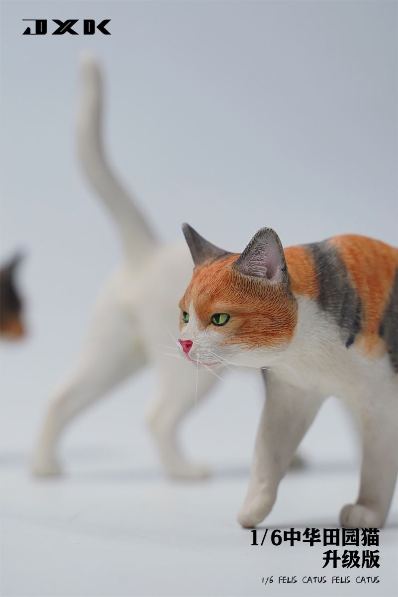 Chinese pastoral cat upgraded version 1/6